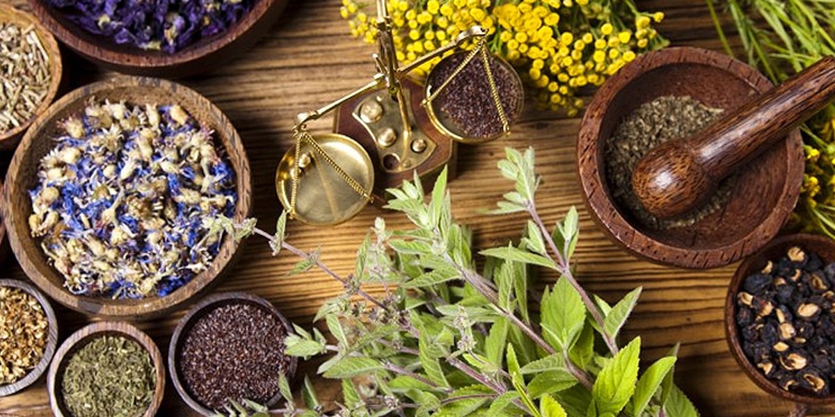 Βότανα και μπαχαρικά
